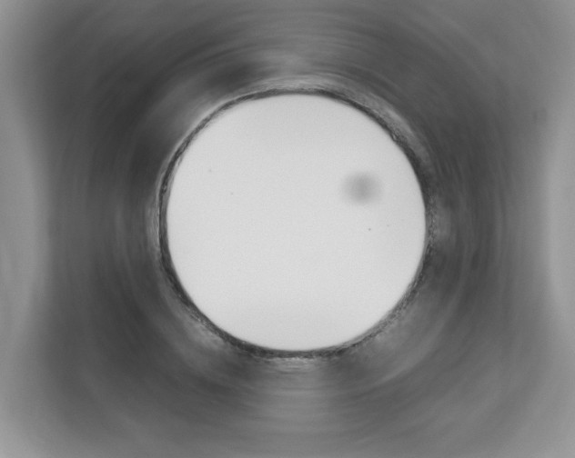 X0000112830836200908210937