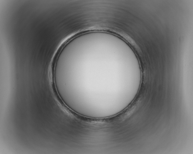 X0000112830838200908210937