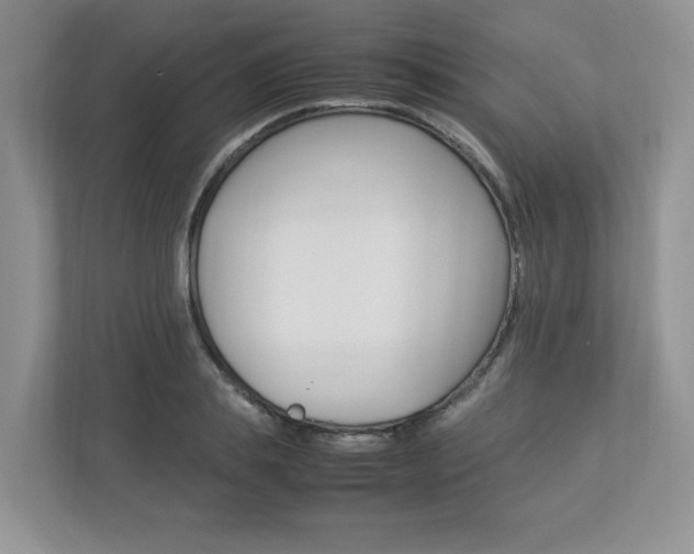 X0000112830839200908210937