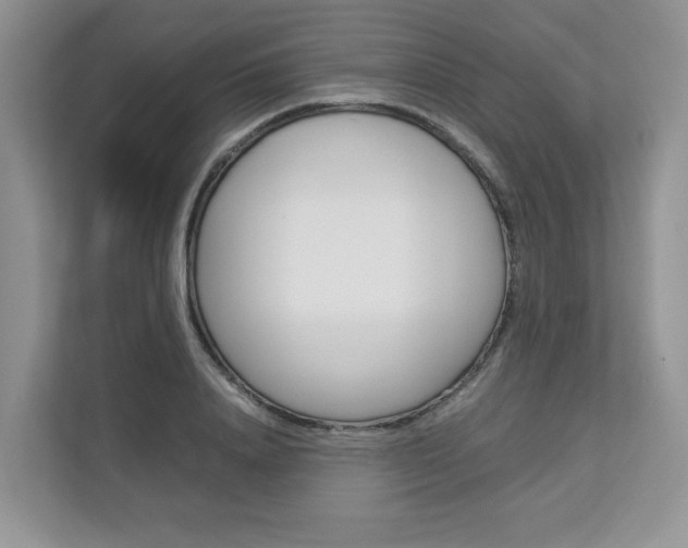 X0000112830840200908210937