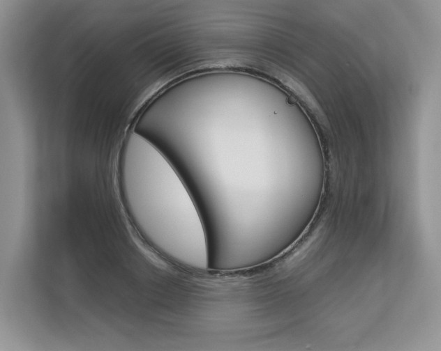 X0000112830842200908210937