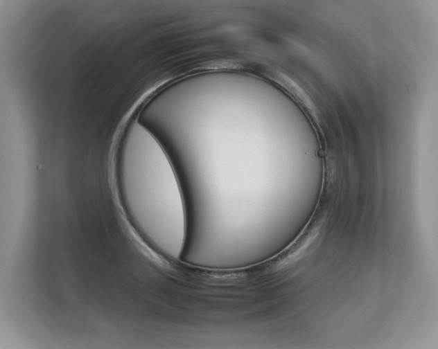 X0000112830843200908210937