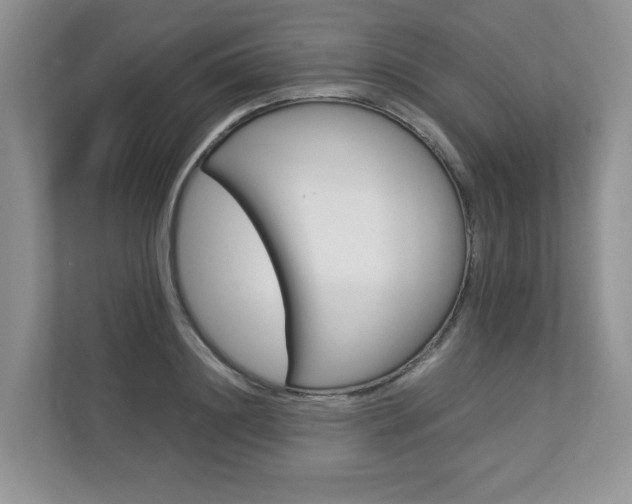 X0000112830844200908210937