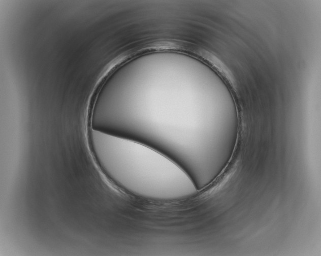 X0000112830845200908210937