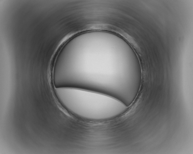 X0000112830846200908210937