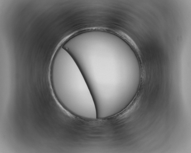 X0000112830847200908210937