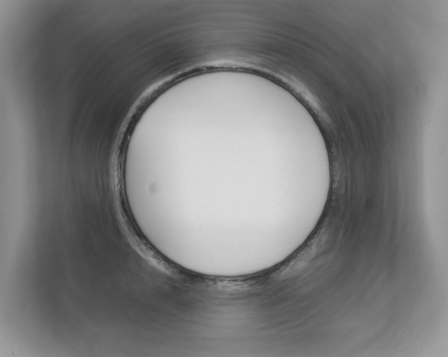 X0000112830848200908210937
