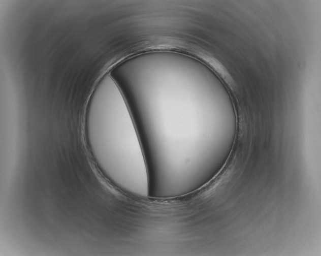 X0000112830850200908210937