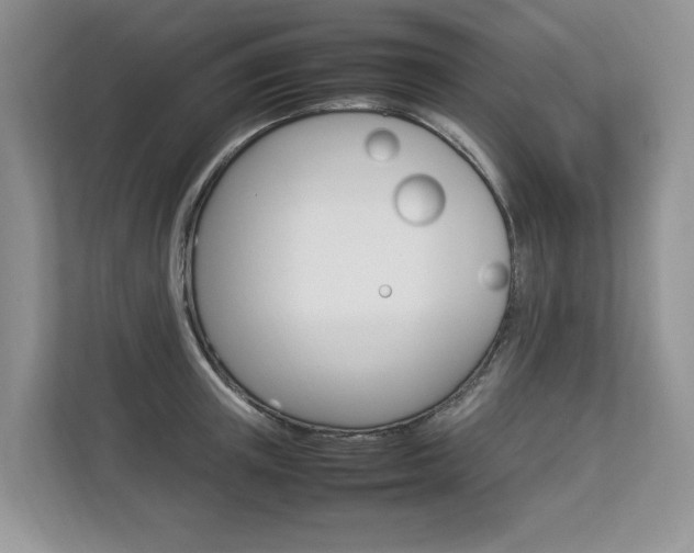 X0000112830851200908210937