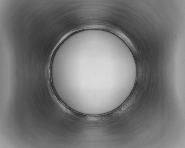 X0000112830852200908210937