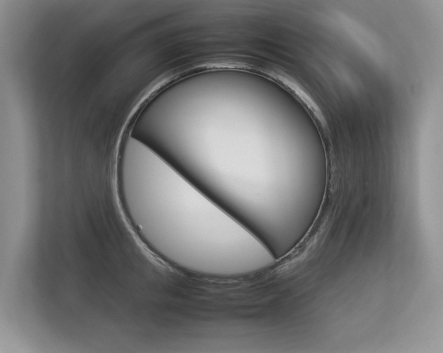 X0000112830853200908210937