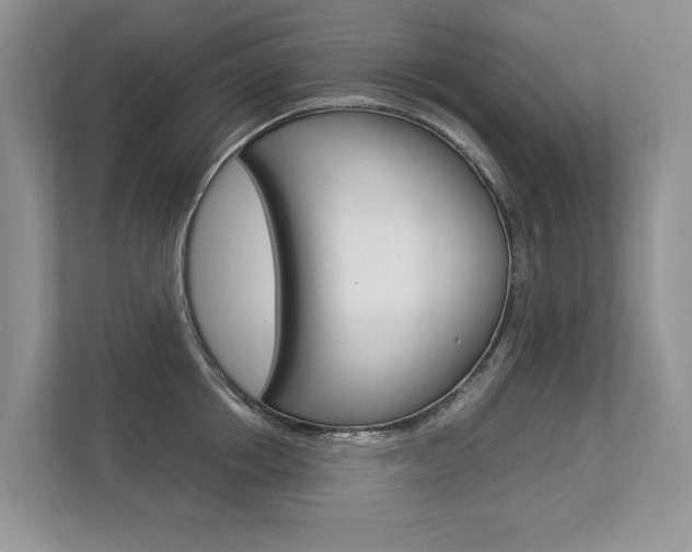 X0000112830858200908210937