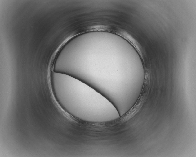 X0000112830859200908210937