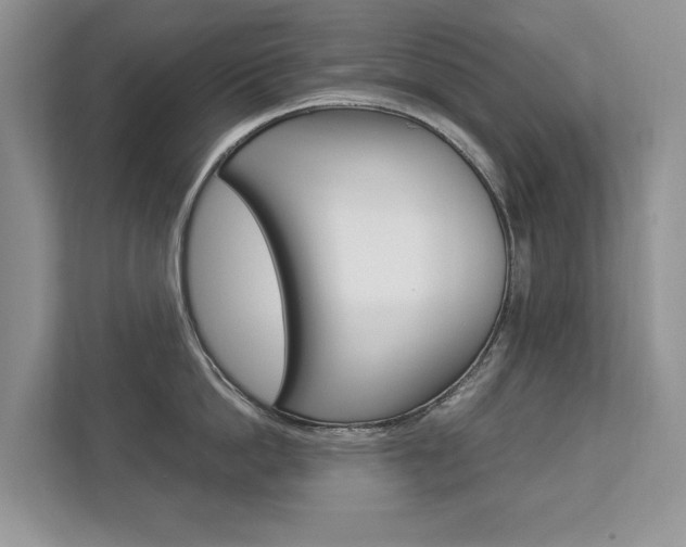 X0000112830862200908210937