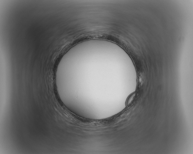 X0000112830867200908210937
