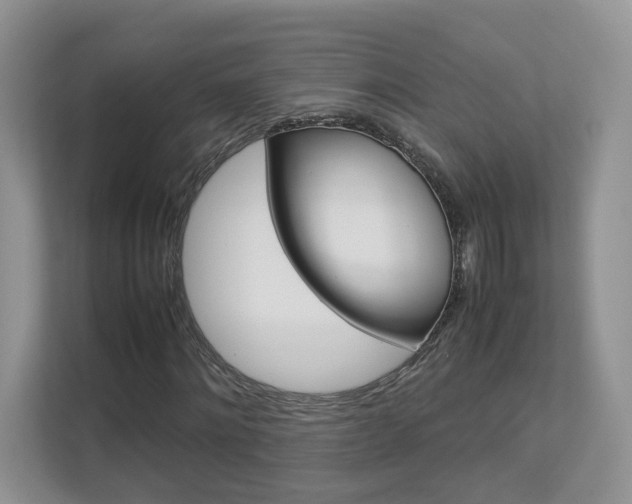X0000112830868200908210937
