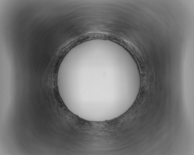 X0000112830870200908210937