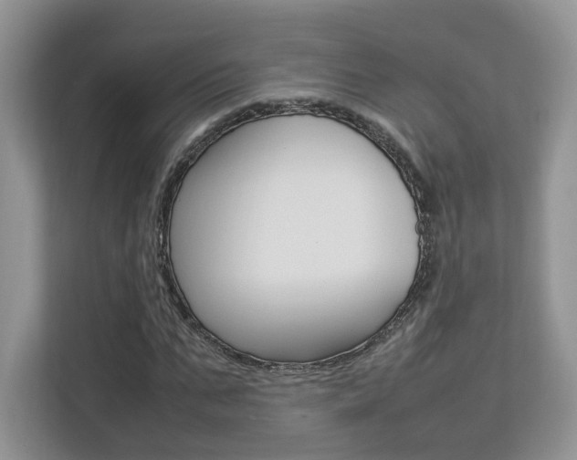 X0000112830871200908210937