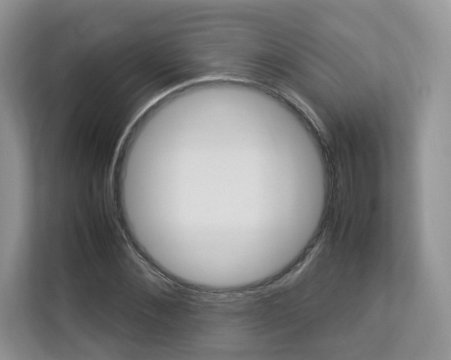 X0000112830876200908210936