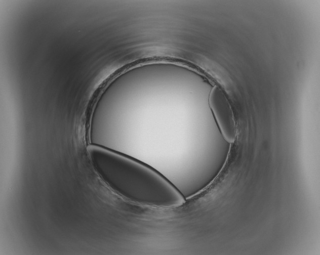 X0000112830877200908210936