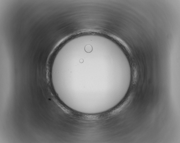 X0000112830878200908210936