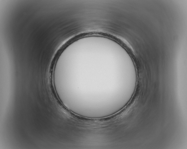 X0000112830879200908210936