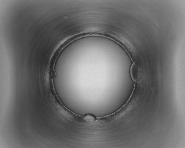 X0000112830880200908210936