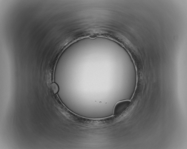 X0000112830881200908210936