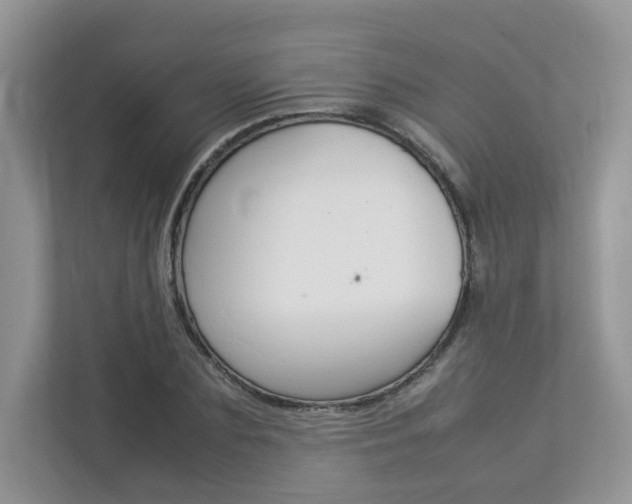 X0000112830883200908210936