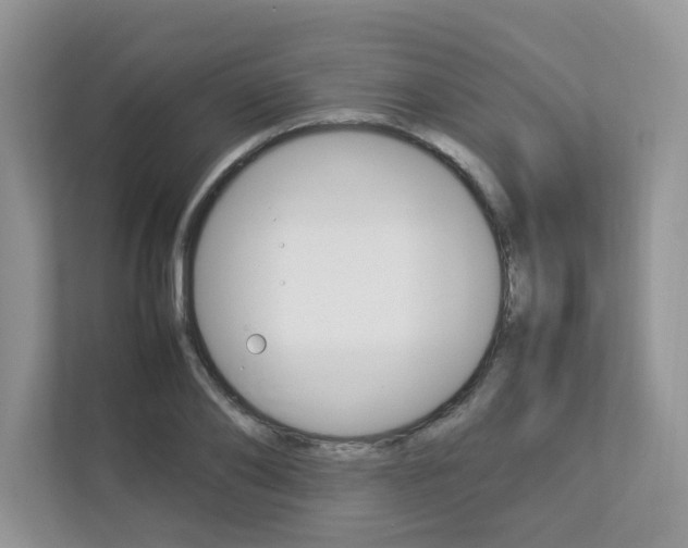X0000112830886200908210936