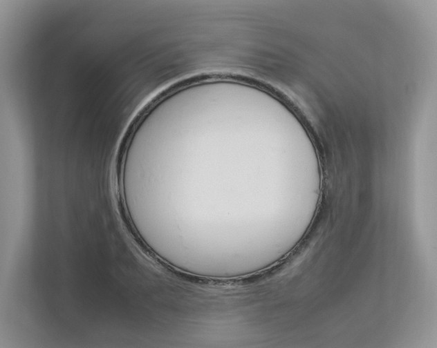 X0000112830887200908210936