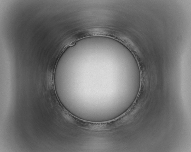 X0000112830889200908210936