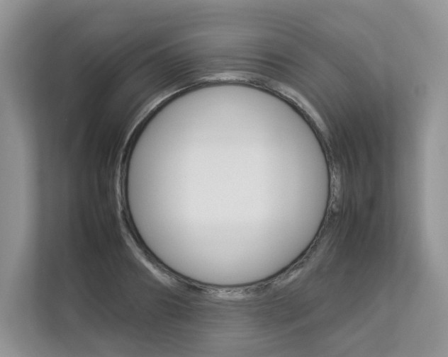 X0000112830890200908210936