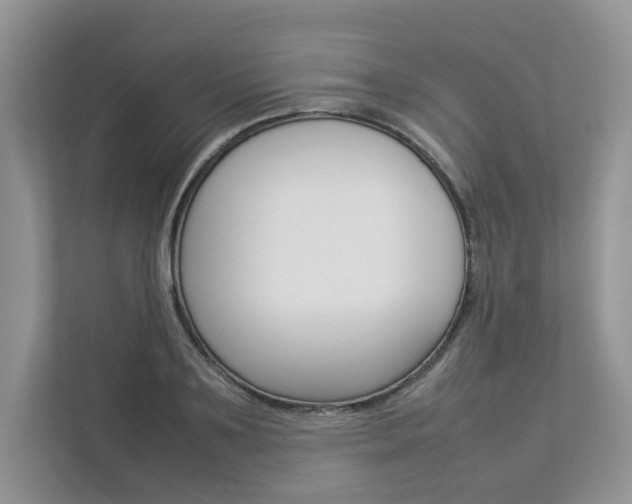 X0000112830891200908210936