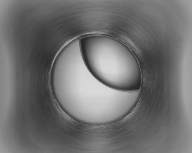 X0000112830892200908210936