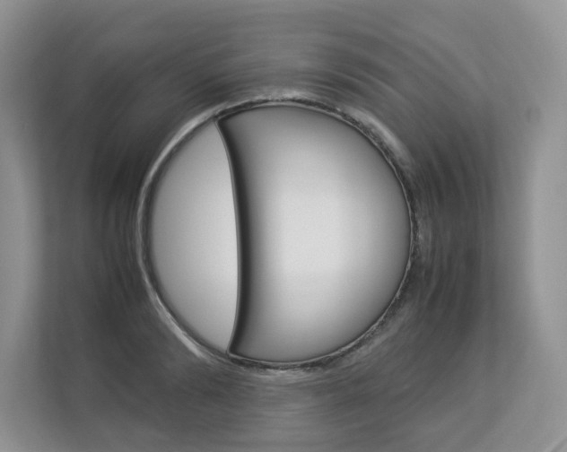 X0000112830894200908210936