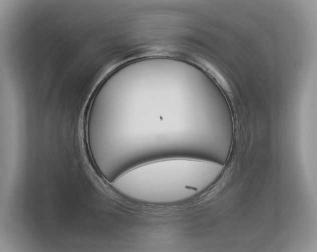 X0000112830899200908210936