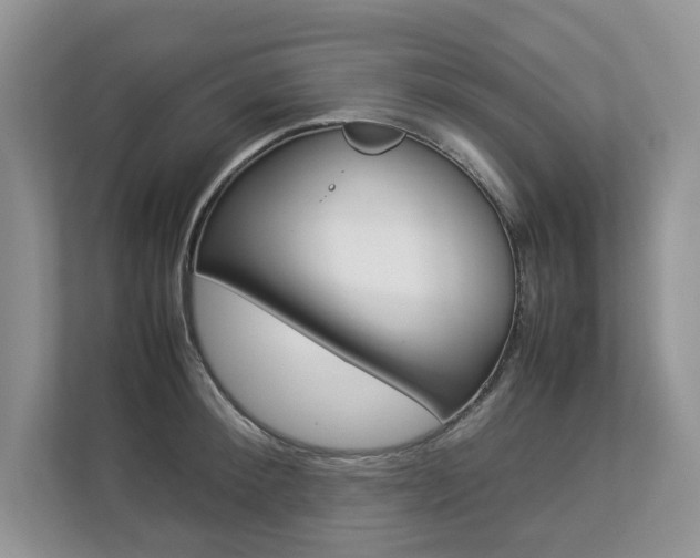 X0000112830900200908210936
