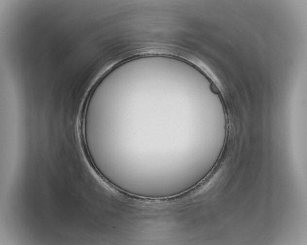 X0000112830901200908210936