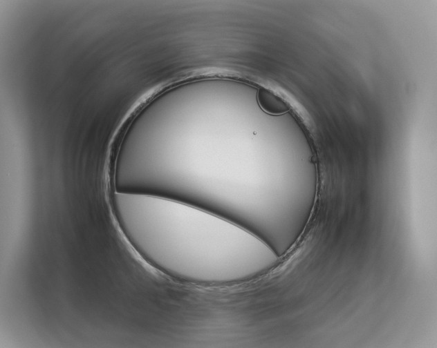 X0000112830902200908210936