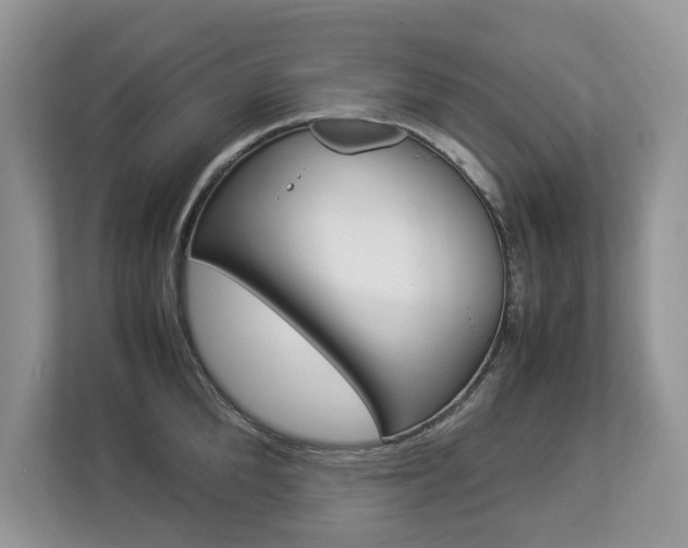 X0000112830904200908210936