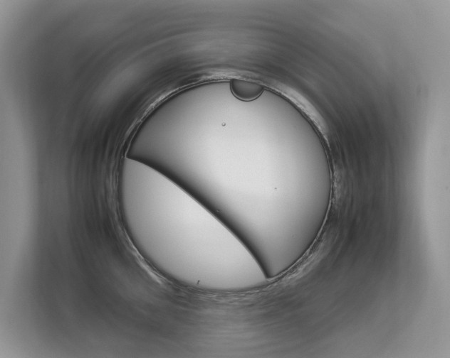 X0000112830906200908210936
