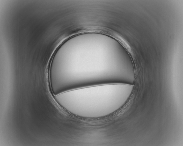 X0000112830907200908210936