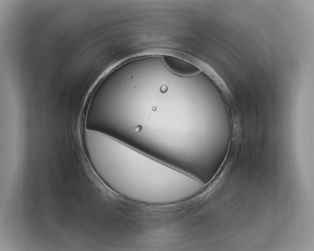X0000112830908200908210936