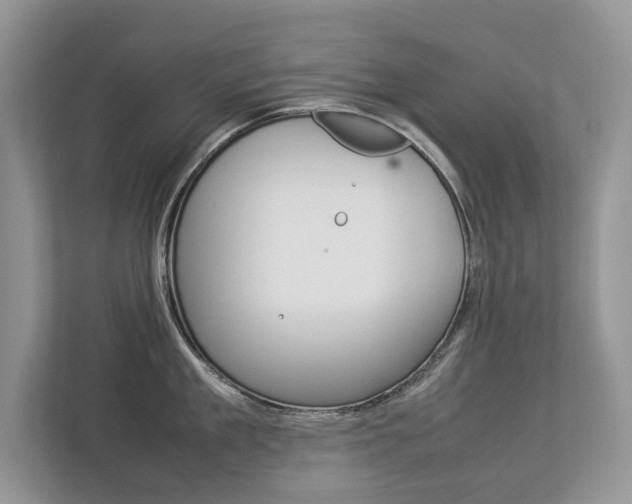 X0000112830909200908210936