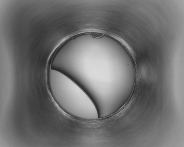 X0000112830910200908210936