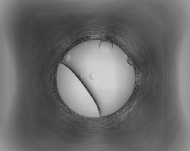 X0000112830913200908210935