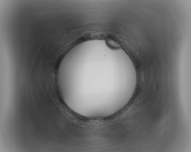 X0000112830914200908210935