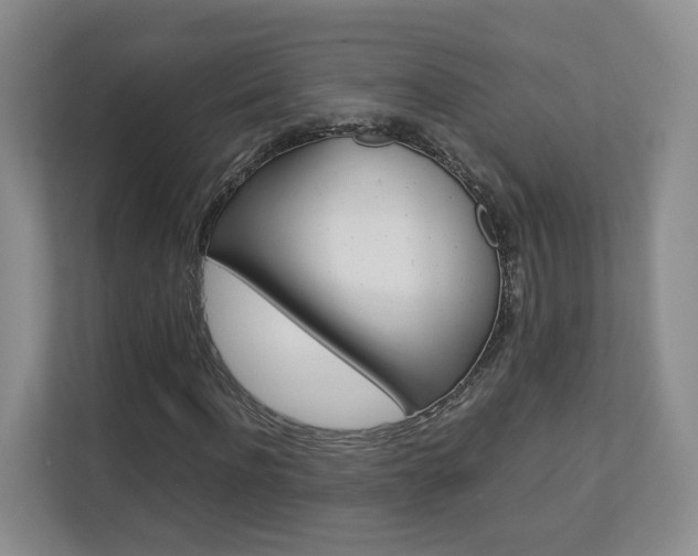 X0000112830916200908210935