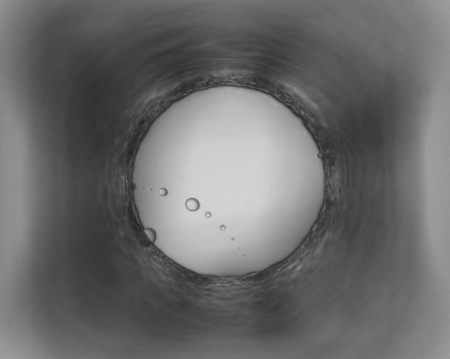 X0000112830917200908210935